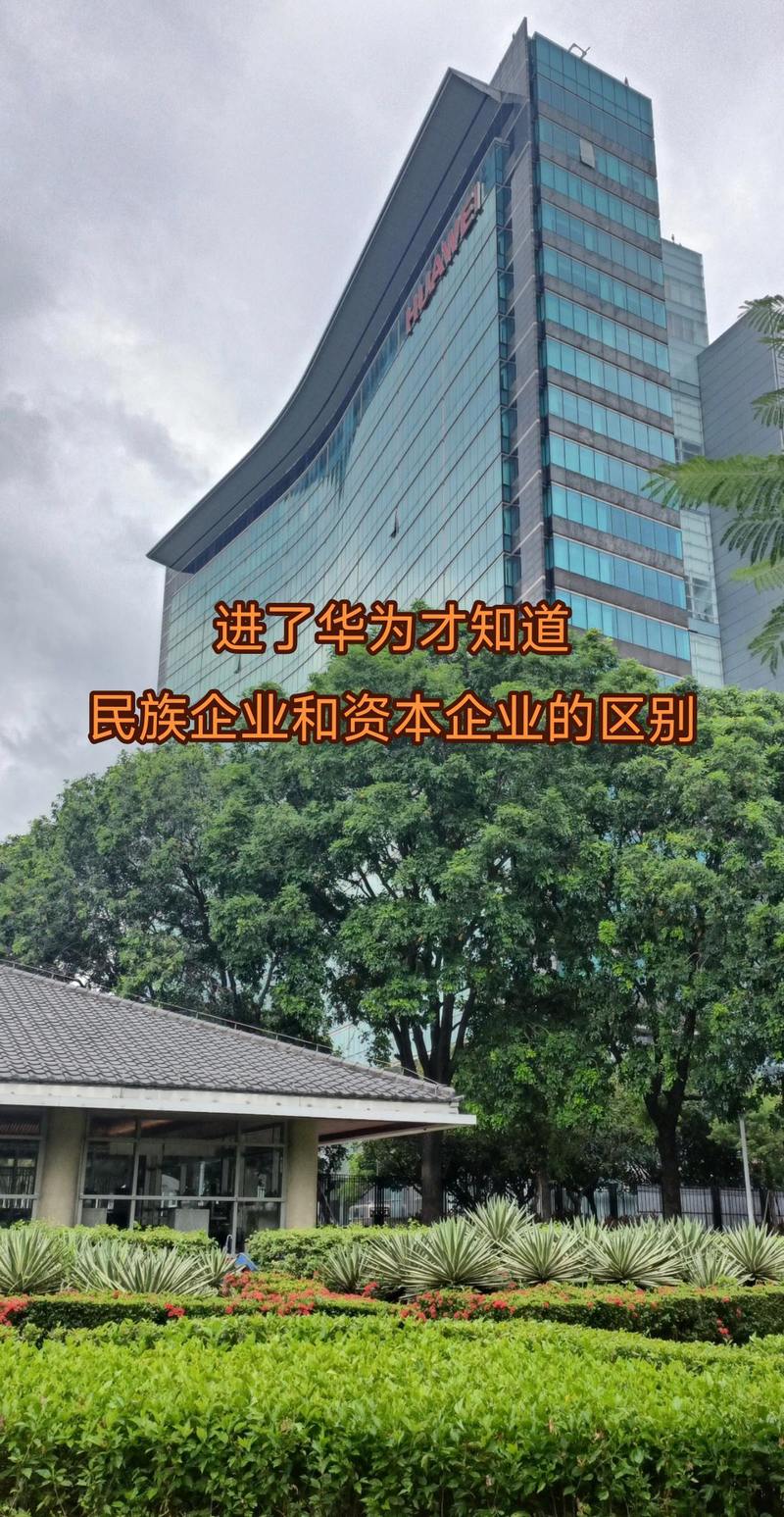 鑫蕾信息咨询工作室 用抖音开启信息服务新视角